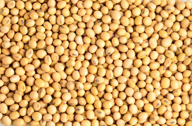 SOYBEANS