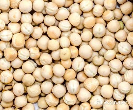 Yellow peas